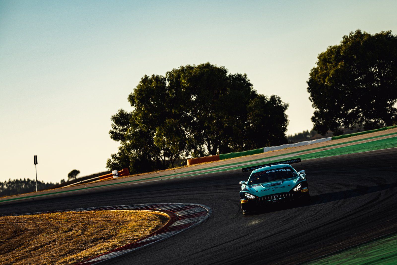 GT3 car under the trees